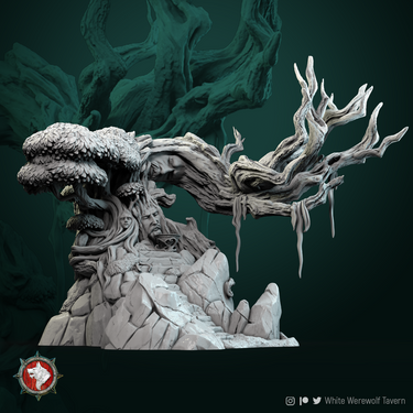 Ancient Tree